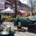 Northeimer Frühlingserwachen - Haus & Gartentrends 3