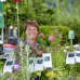 Schlierseer Gartenzauber 2018 6