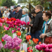Gartenmarkt Späth’er Frühling 3