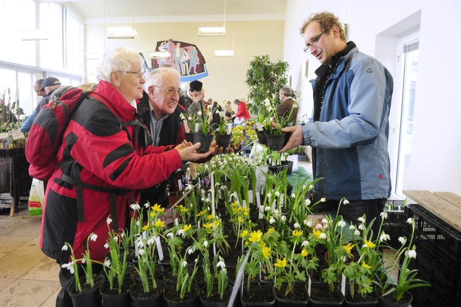 Du und dein Garten Spezialmarkt