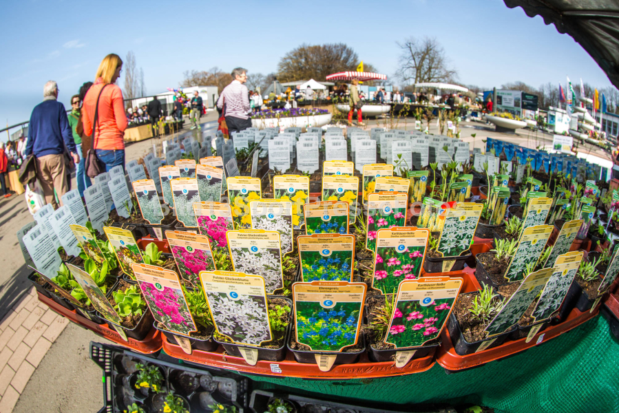 Du und dein Garten Spezialmarkt 2017