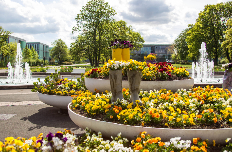 Du und dein Garten Spezialmarkt