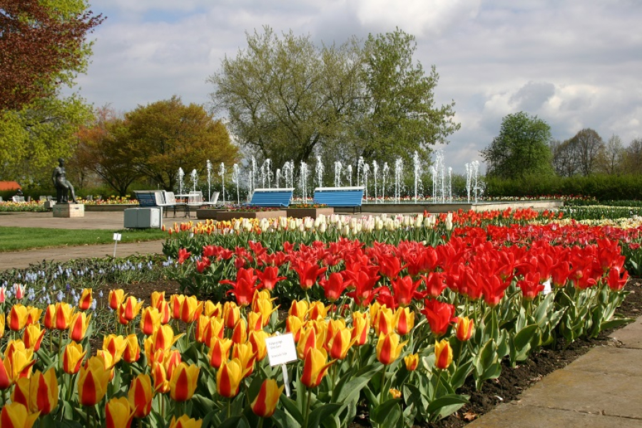 Du und dein Garten Spezialmarkt 2017