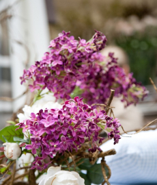 Blumen- und Gartenmarkt Gelsenkirchen 