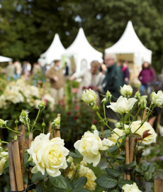 Findet statt: Gartenfestival Herrenhausen