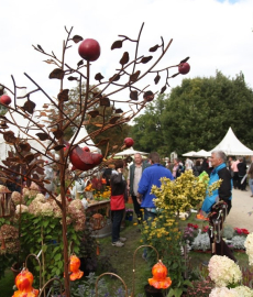 1. Herbstzauber Rastatt