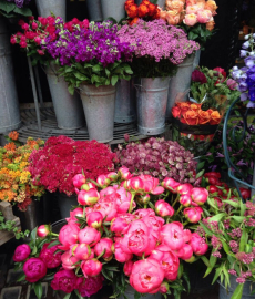 Rhein-Main Genuss & Gartenlust Burg Hayn