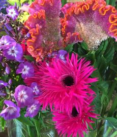 Gartentage Schloss Walkershofen