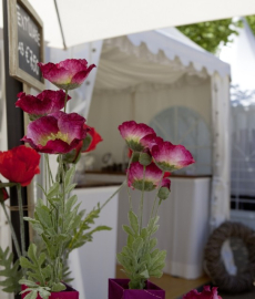 Landleben-Messe mit 13. Gartenfestival Baabe 