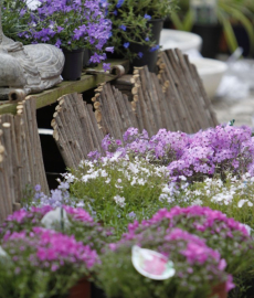 Landesgartenschau Schwäbisch Gmünd