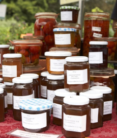 Garten- und Wellnessfest Bad Salzdetfurth