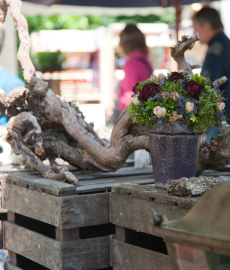 Markt im Park - Norderstedt 