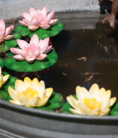 Park & Garden Country Fair Gut Stockseehof