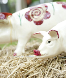 Grüne Tage Thüringen - Landwirtschaftsmesse