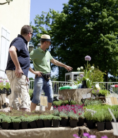 Hennebergisches Gartenfest Kloster Veßra