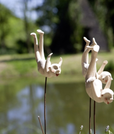 Rosen- und Gartenfestival Bayreuth