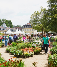 Das Gartenfest Hanau