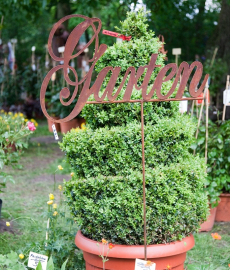 Herbstliches Gartenfest