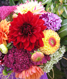 Holsteiner Herbstmarkt 2017