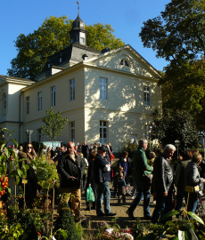Düsseldorfer Herbstfestival
