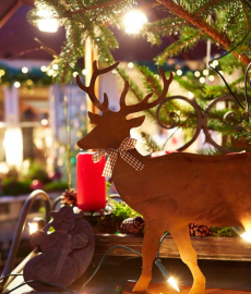 Romantischer Weihnachtsmarkt Wasserschloss Dorenburg