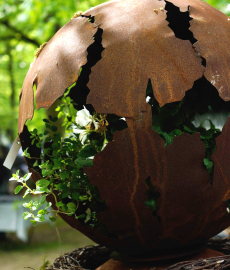 Fine Arts - Kunstmarkt