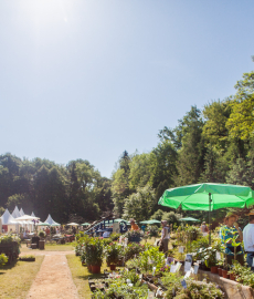 Gartenfestival Park & Schloss Branitz