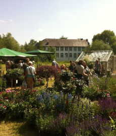 GartenLeben - Freilichtmuseum Dorenburg