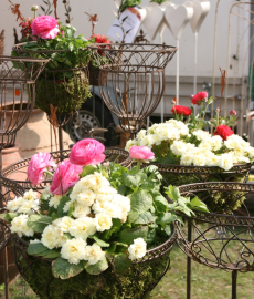 Blumen- Pflanzen- & Gartenmarkt Recklinghausen 