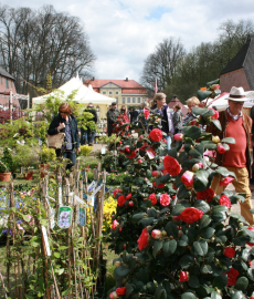 Landgeflüster Ostern