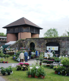 Gartenträume - Linslerhof 