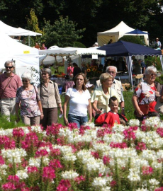 Sommer Blüten Träume Gartenmarkt