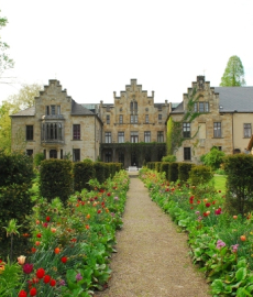 Ippenburger Tulpenpracht