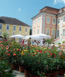 Winterzauber auf Schloss Assumstadt