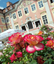 Schlossparkträume auf Schloss Assumstadt