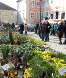 Frühlingserwachen auf Schloss Assumstadt