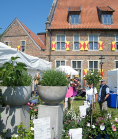 Rosen, Garten & Ambiente-Markt