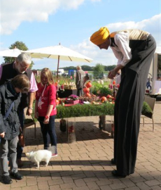 Herbstmarkt Lauenbrück