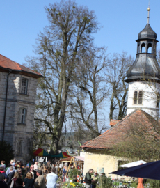 Christrosen & Ostermarkt auf Schloss Weingartsgreuth