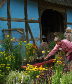 Pflanzenmarkt Freilichtmuseum Kiekeberg