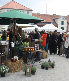 Niedersächsisches Gartenfestival 2017