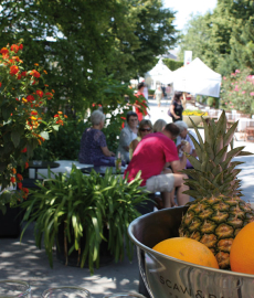 Garten & Ambiente LebensART Bad Salzuflen 2016