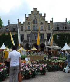 Ippenburger Sommerfestival 2015