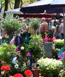 Blumen- und Gartenmarkt Herten 