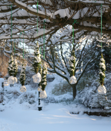 Winterfestival in den Gärten von Appeltern