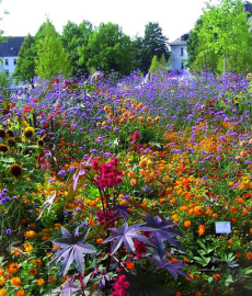 Garten & Ambiente LebensArt Sauerlandpark Hemer 2017