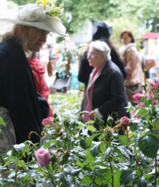 Garten & Ambiente Nordenham 2017