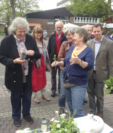 Grüner Daumen Markt Brüggen