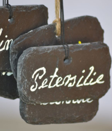 Frühlingserwachen in der Gärtnerei