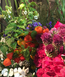 Botanischer Frühlings-Pflanzenmarkt im Rhododendron-Park